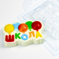 Школа, форма пластик